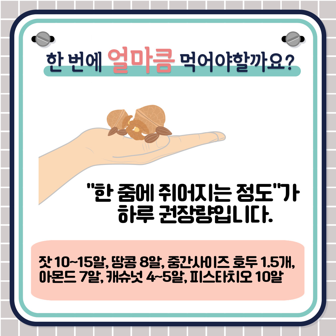 그렇다면 한 번에 얼마큼 먹어야 할까요?  보통 '한 줌에 쥐어지는 정도'가 하루 권장량입니다. 각 견과류로 예시를 들자면 잣 10~15알, 땅콩 8알, 중간사이즈 호두 1.5개, 아몬드 7알, 캐슈넛 4~5알, 피스타치오 10알 정도입니다.