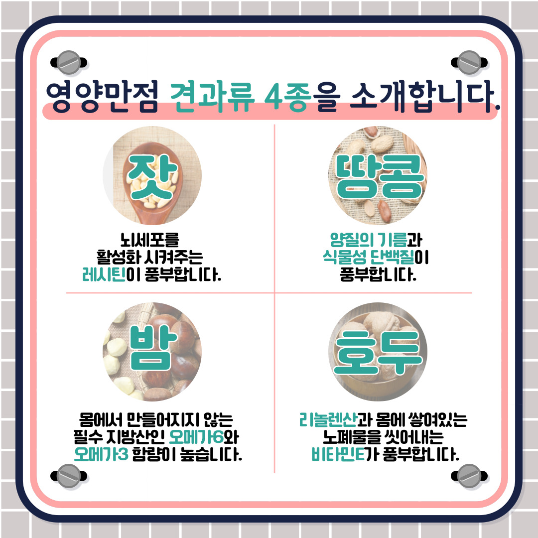 우리 주변에서 흔히 볼 수 있고 맛있는 영양만점 견과류 4종을 소개합니다. 잣은 뇌세포를 활성화 시켜주는 레시틴이 풍부합니다. 두번째, 땅콩은 양질의 기름과 식물성 단백질이 풍부합니다. 겨울철 간식으로도 사랑받는 밤은 몸에서 만들어지지 않는 필수지방산인 오메가6와 3 함량이 높습니다. 마지막으로 호두는 리놀렌산과 몸에 쌓여 있는 노폐물을 씻어내는 비타민E가 풍부합니다.