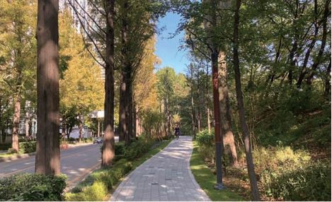 올해 10월 삼성동에 문을 연 ‘삼성해맞이공원’. 폐쇄 예정이었던 배수지 공간을 탈바꿈시켜 벌써 일출, 야경 명소로 인기를 모으고 있다.