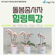 돌봄종사자 힐링지원사업 힐링강좌(특별) 4월 카드뉴스