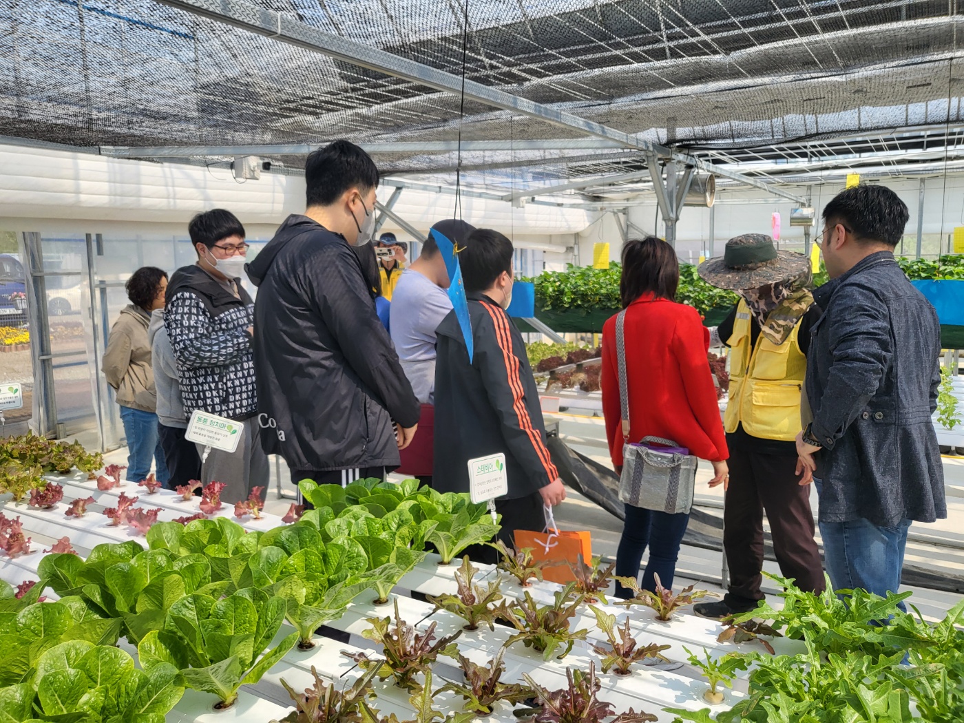 [230428] 강남구 스마트팜 체험