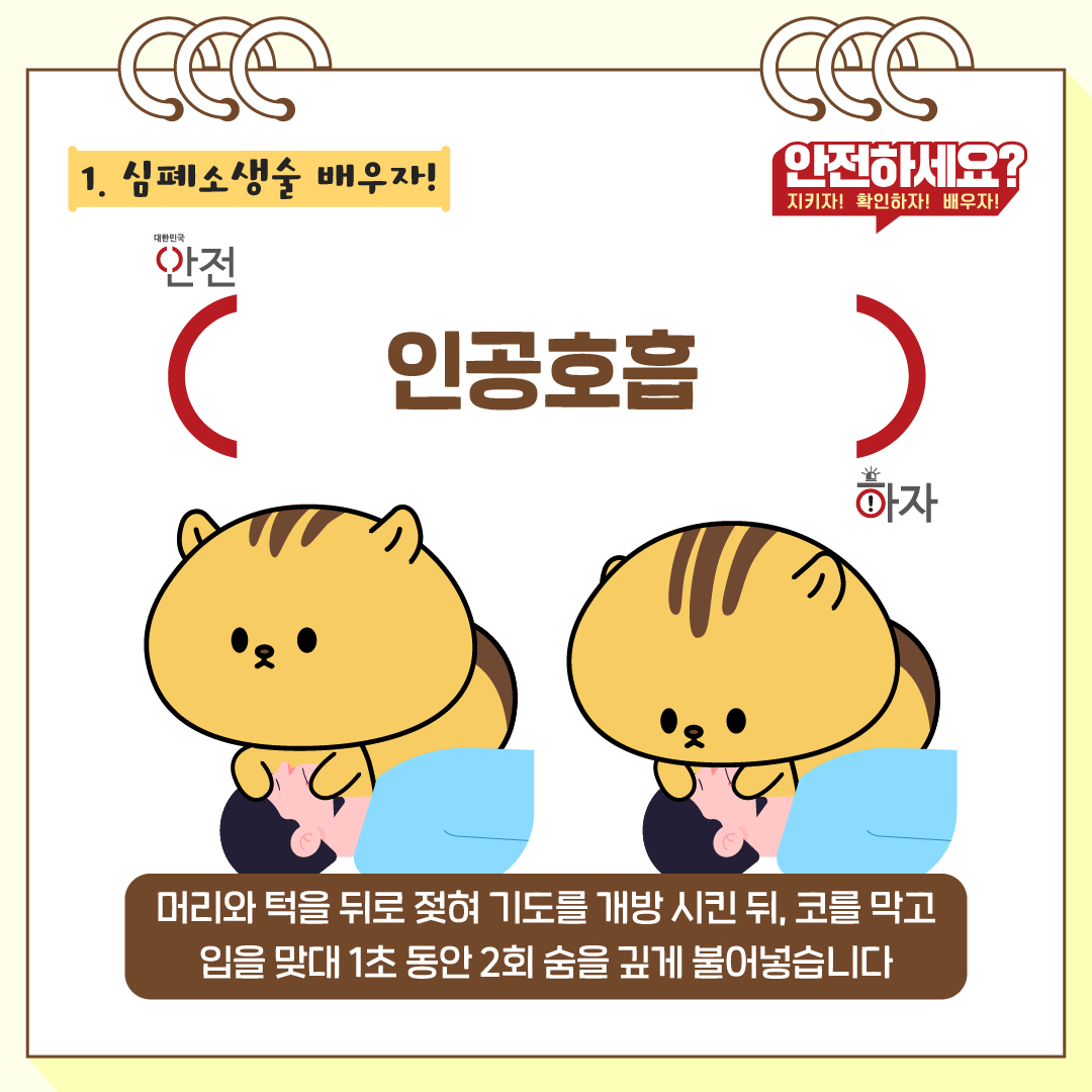 머리와 턱을 뒤로 젖혀 기도를 개방시킨 뒤, 코를 막고 입을 맞대 1초 동안 2회 숨을 깊게 불어넣습니다.