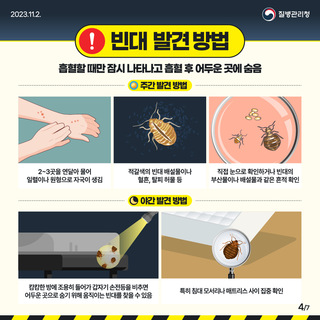 ❗빈대 발견 방법 흡혈할 때만 잠시 나타나고 흡혈 후 어두운 곳에 숨음 ☀️주간 발견 방법 ✅2~3곳을 연달아 물어 일렬이나 원형으로 자국이 생김 ✅적갈색의 빈대 배설물이나 혈흔, 탈피 허물 등 ✅직접 눈으로 확인하거나 부산물이나 배설물과 같은 흔적 확인 🌙야간 발견 방법 ✅캄캄한 방에 조용히 들어가 갑자기 손전등을 비추면 어두운 곳으로 숨기 위해 움직이는 빈대를 찾을 수 있음 ✅특히 침대 모서리나 매트리스 사이 집중 확인
