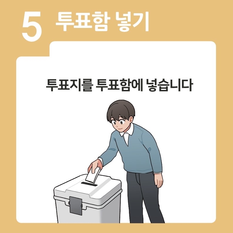 5. 투표지 넣기 : 투표지를 투표함에 넣습니다.