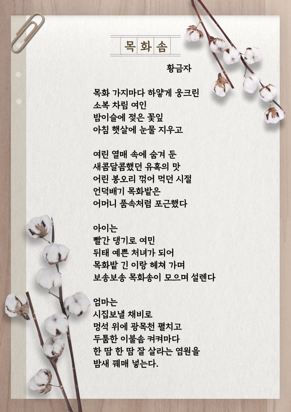 황금자作-목화솜