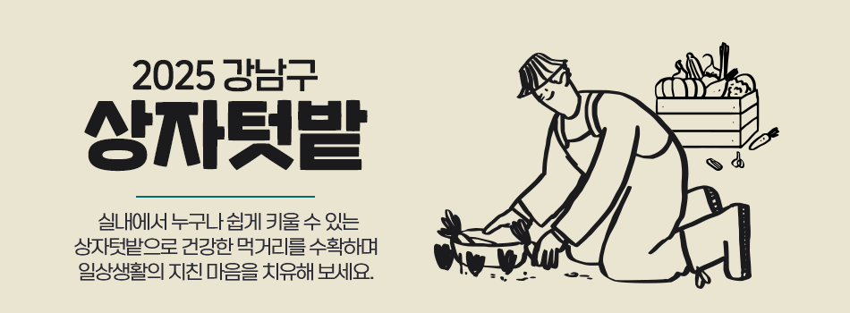 2025 강남구 상자텃밭