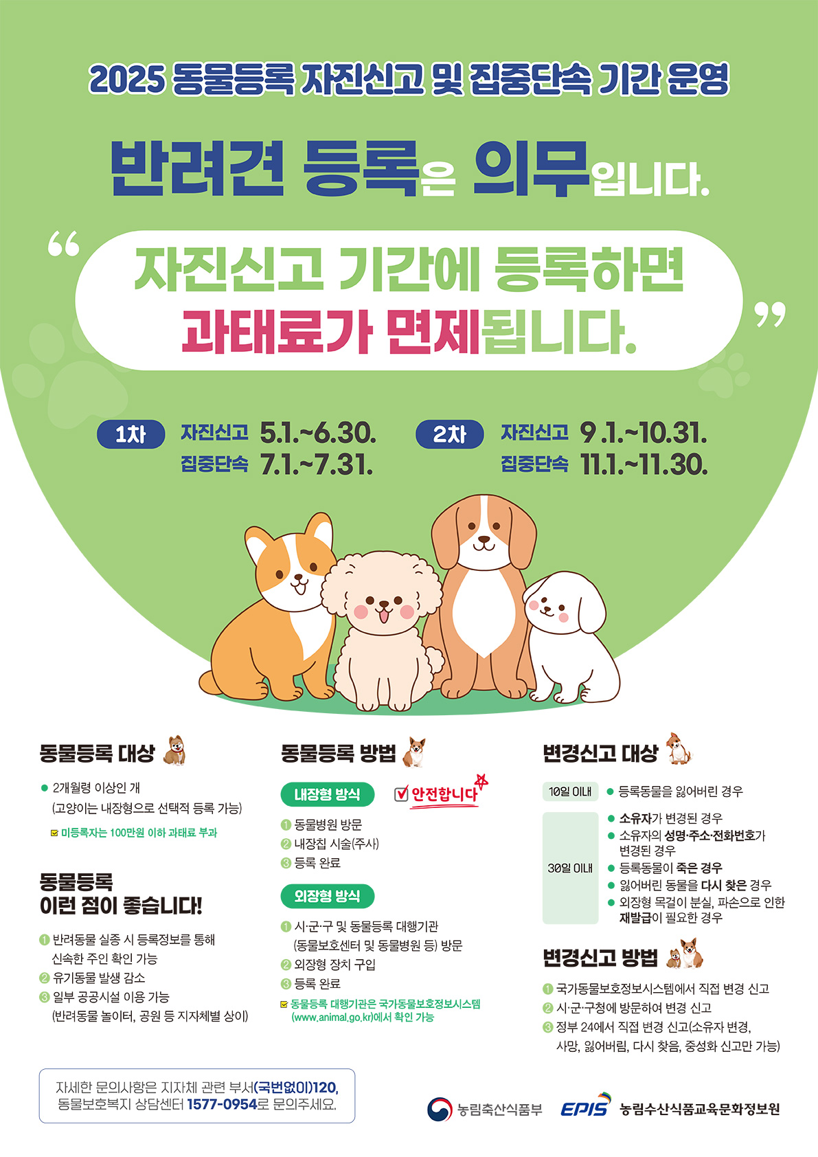 2025 동물등록 자진신고 및 집중단속 기간 운영