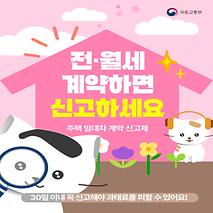 이거 모르면 전·월세 계약하고 과태료 냅니다!
