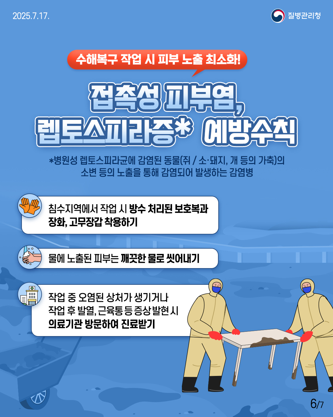 🚨수해복구 작업 시 피부 노출 최소화! 접촉성 피부염, 렙토스피라증 예방수칙 * 병원성 렙토스피라균에 감염된 동물(쥐/소·돼지, 개 등의 가축)의 소변 등의 노출을 통해 감염되어 발생하는 감염병 ✅ 침수지역에서 작업 시 방수 처리된 보호복과 장화, 고무장갑 착용하기 ✅ 물에 노출된 피부는 깨끗한 물로 씻어내기 ✅ 작업 중 오염된 상처가 생기거나 작업 후 발열, 근육통 등 증상 발현 시 의료기관 방문하여 진료받기