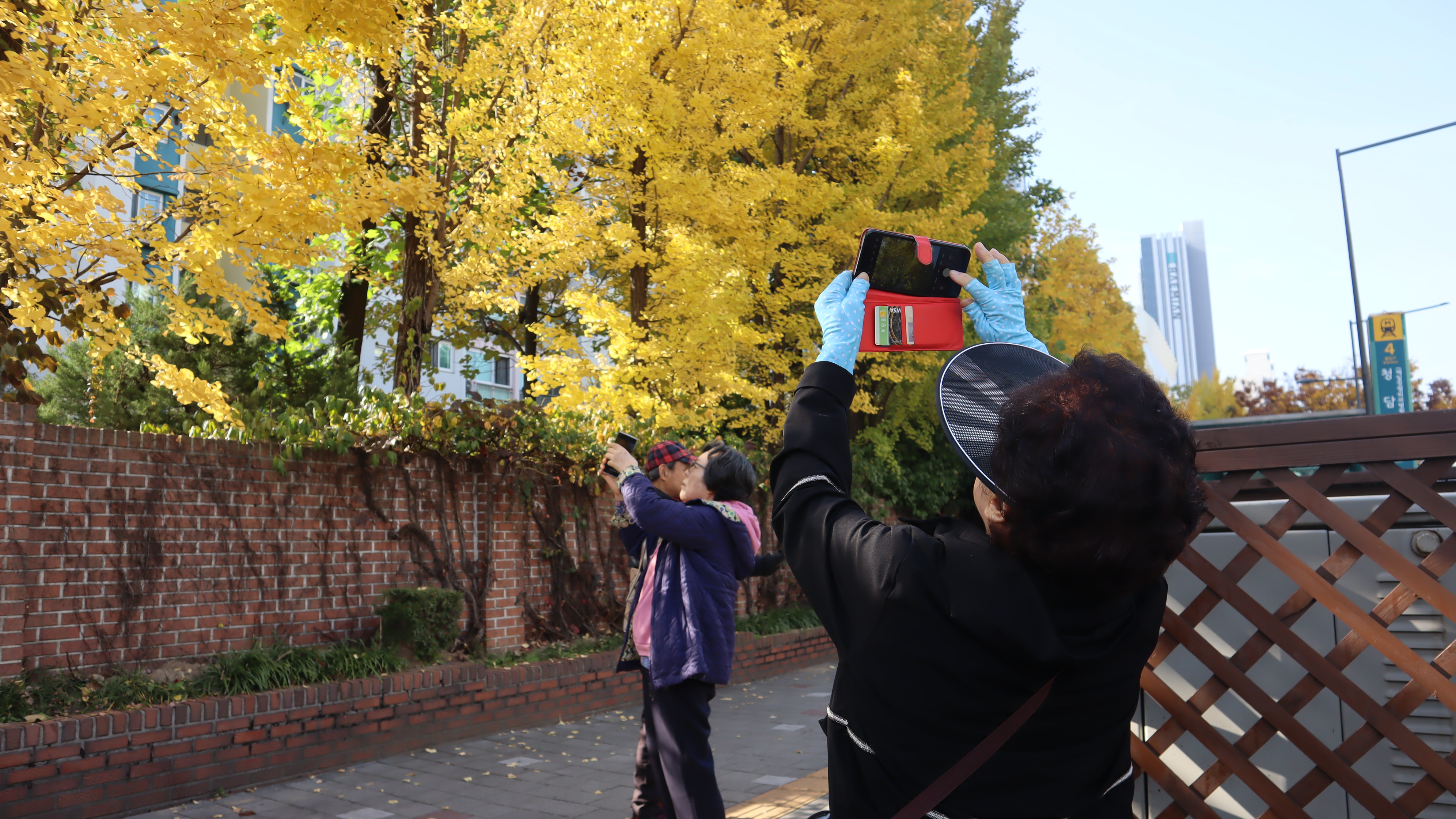 오늘은걷조 9회차 활동 진행 [70플러스특화사업 걷GO!힐링하GO!]