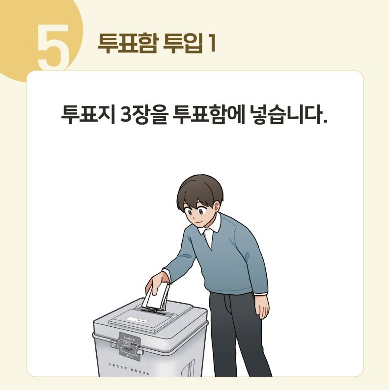 5️⃣ 투표함 투입 1 : 투표지 3장을 투표함에 넣습니다.