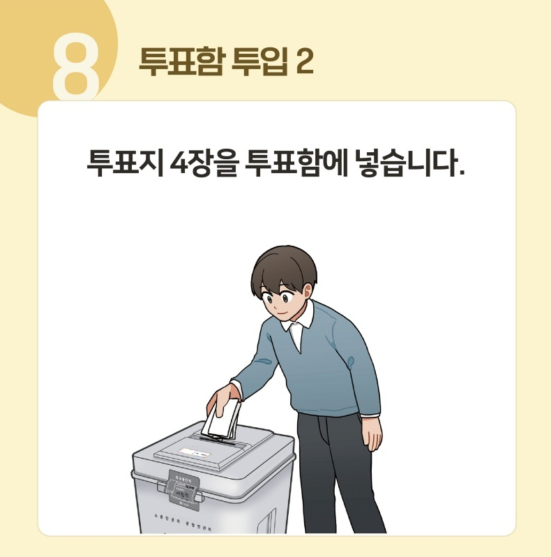 8️⃣ 투표함 투입 2 : 투표지 4장을 투표함에 넣습니다.