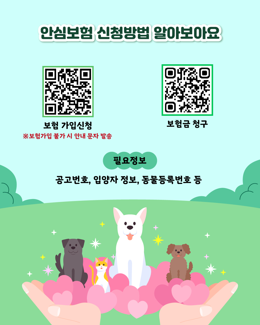 📌안심보험 신청방법 알아보아요  보험 가입신청 : https://naver.me/FBM6iWZz 보험금 청구 : 마이브라운 앱(구글, 애플)   필요정보 : 공고번호, 입양자 정보, 동물등록번호 등 