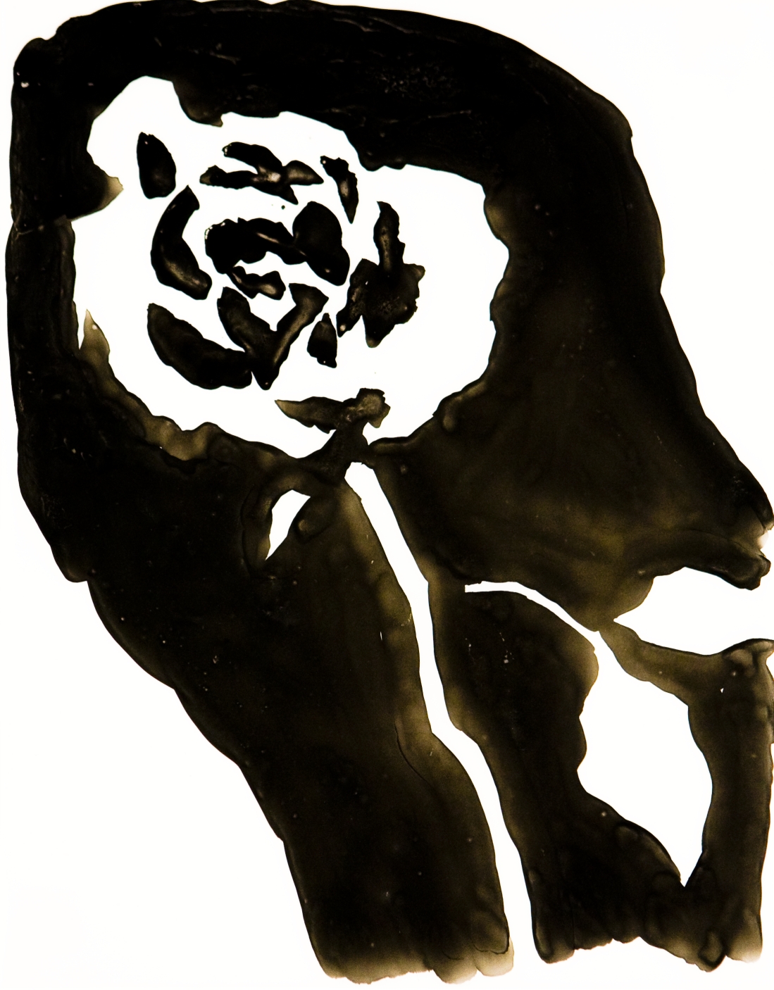 설원기 _Flower(Carnation), 2008, Ink on Mylar, 36X27 cm_이미지 작가 제공