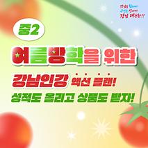 강남인강 액션 플랜으로 중2 여름방학 뿌시자!