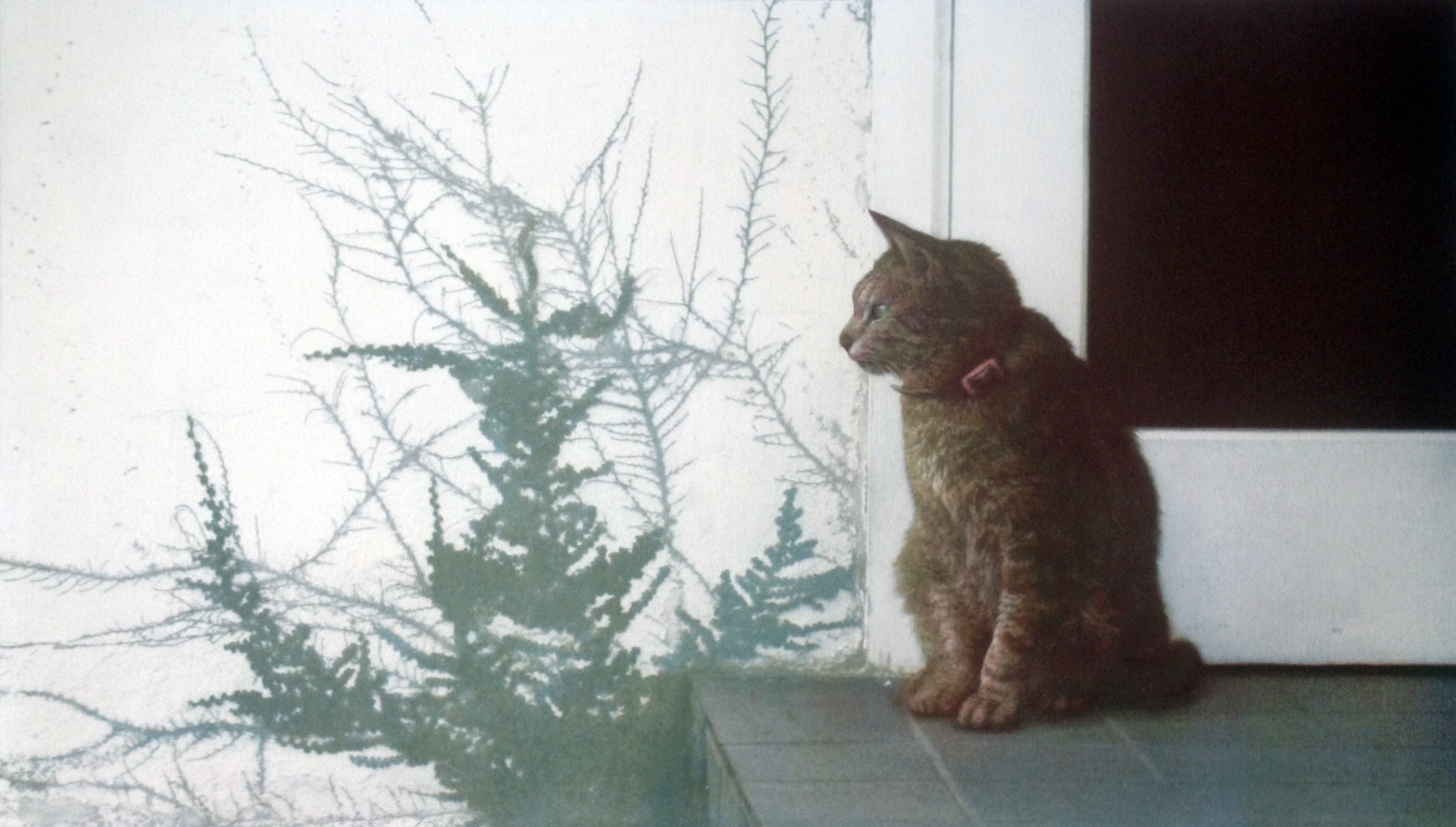 김범준, A guard Ⅰ,Gum bichromate print, 35x61㎝, 2025