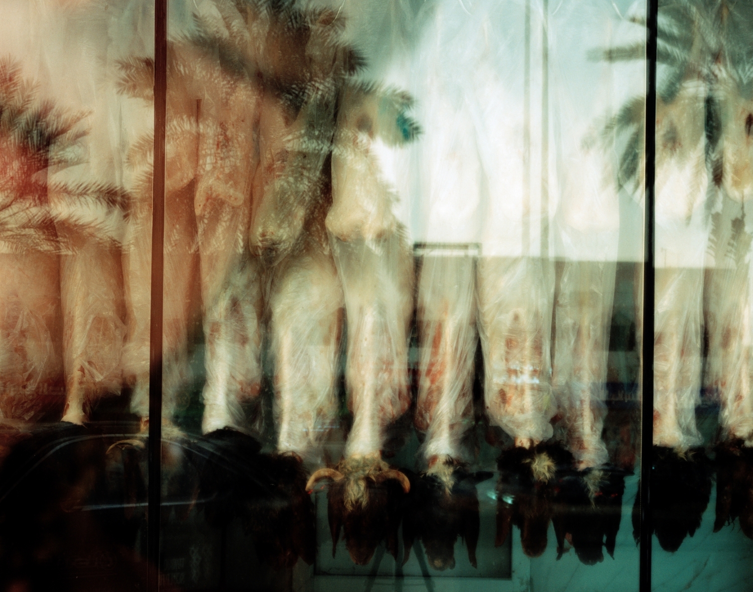 루트 블리스 룩셈부르크 Rut Blees Luxemburg, Happy Days, 2026, Archival pigment print, 70 × 55cm