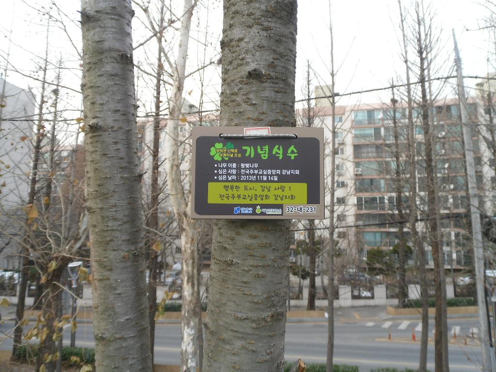 32-내-231