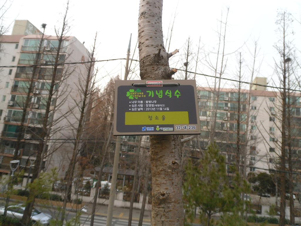 32-내-236