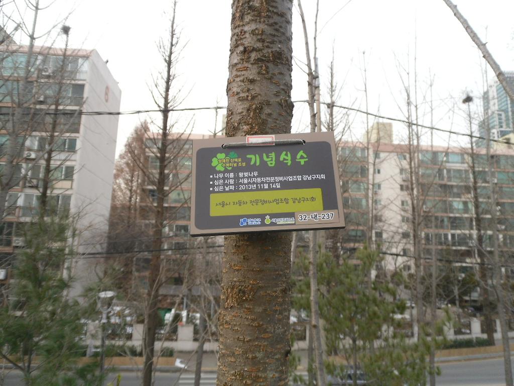32-내-237