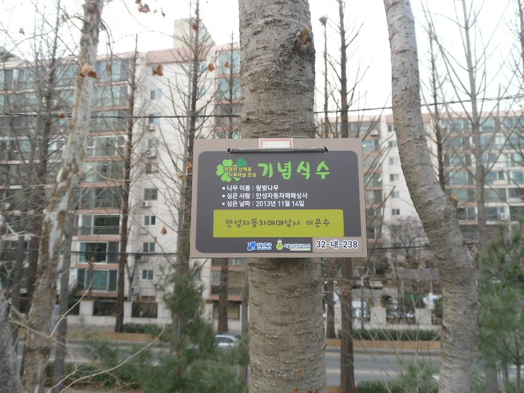 32-내-238