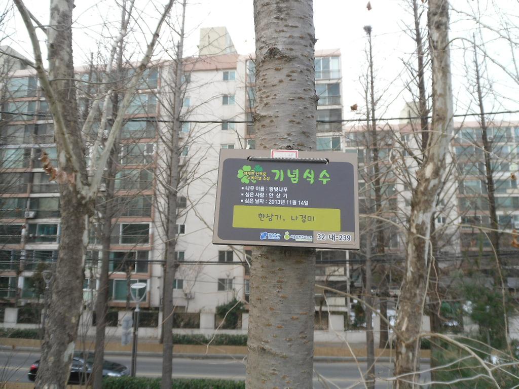32-내-239