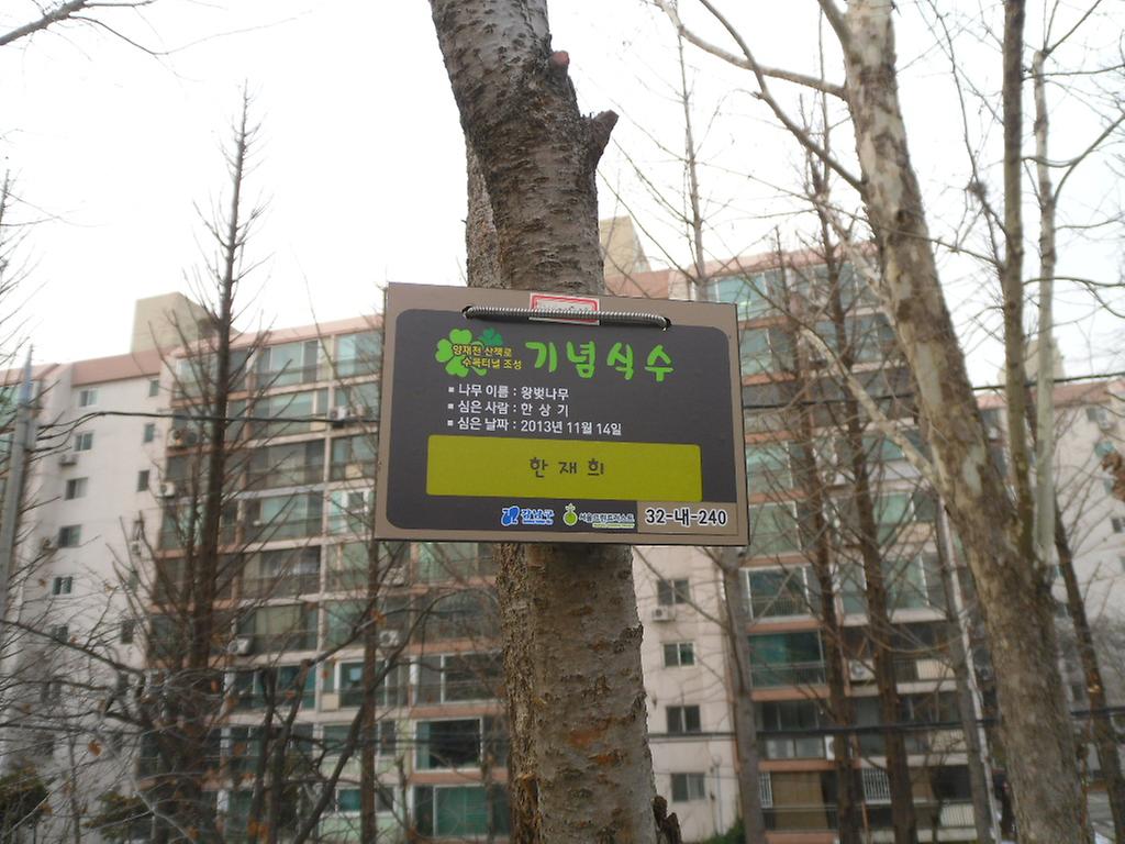 32-내-240