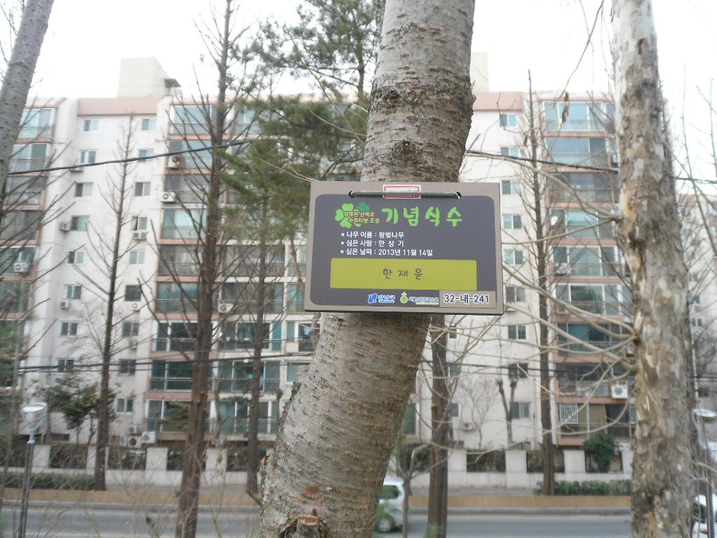 32-내-241