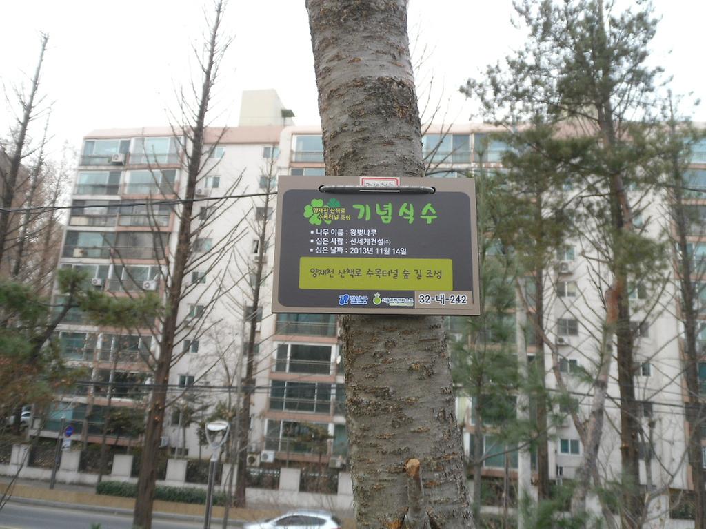 32-내-242