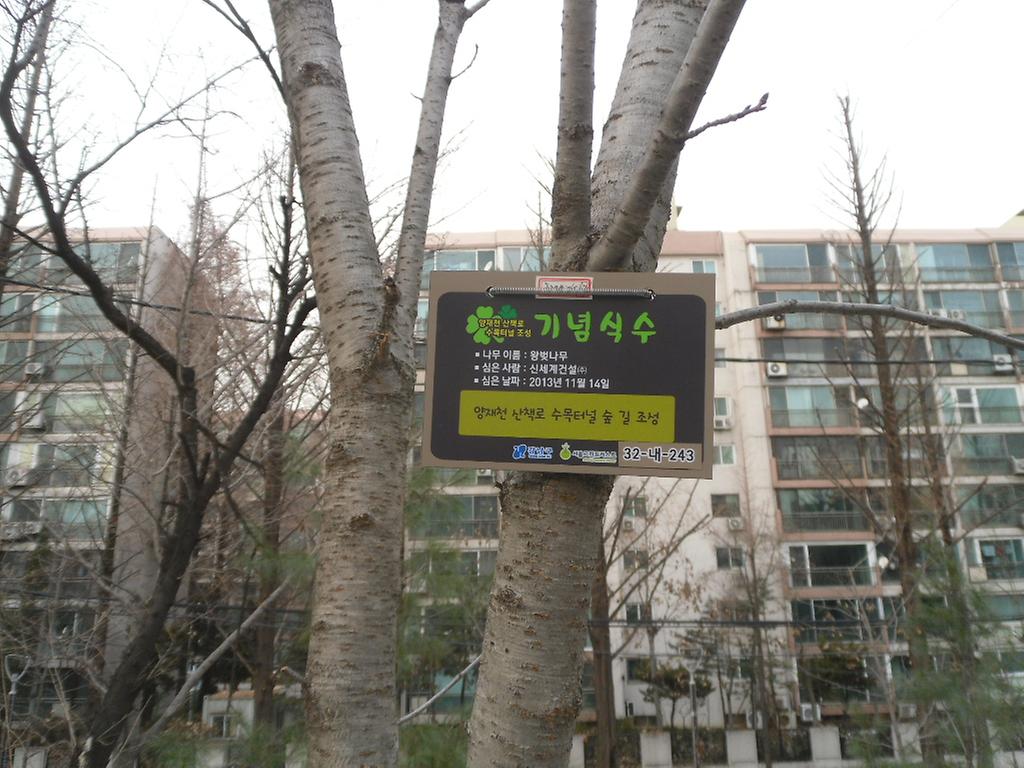 32-내-243