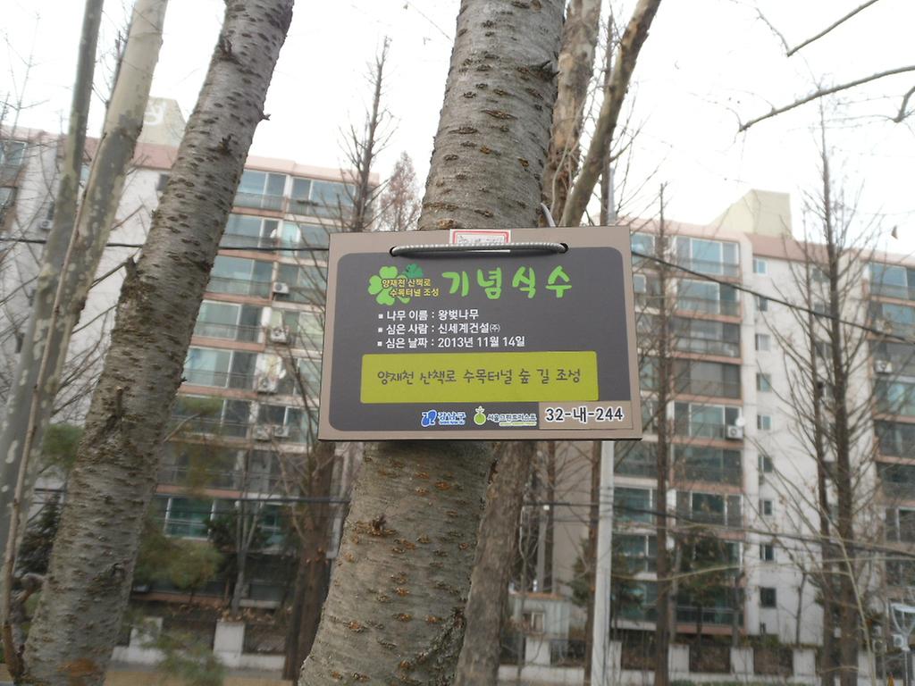 32-내-244