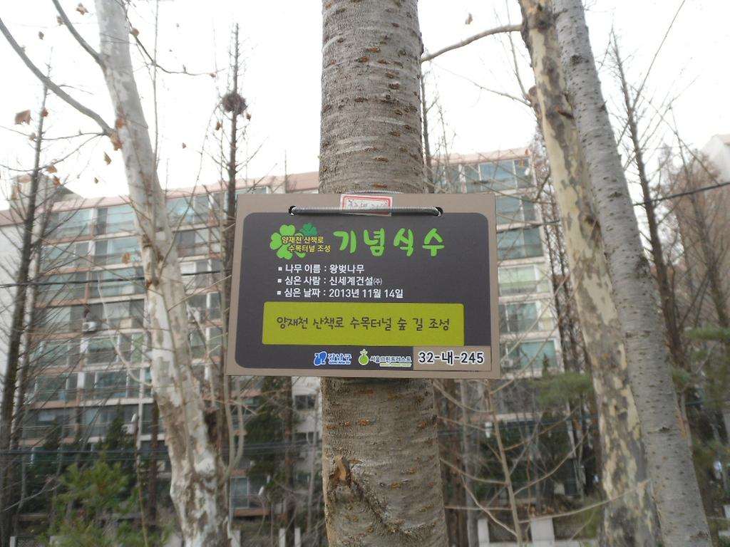 32-내-245