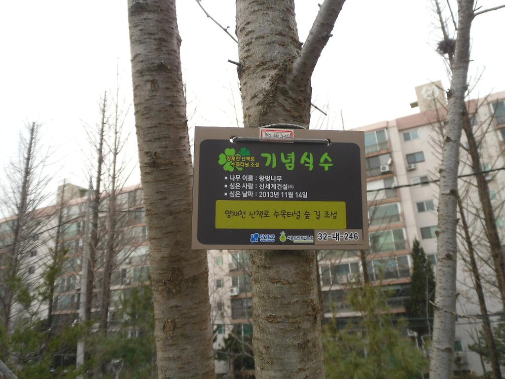 32-내-246