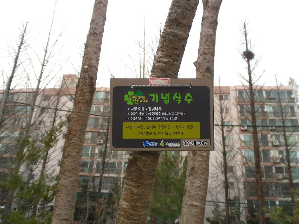 32-내-247