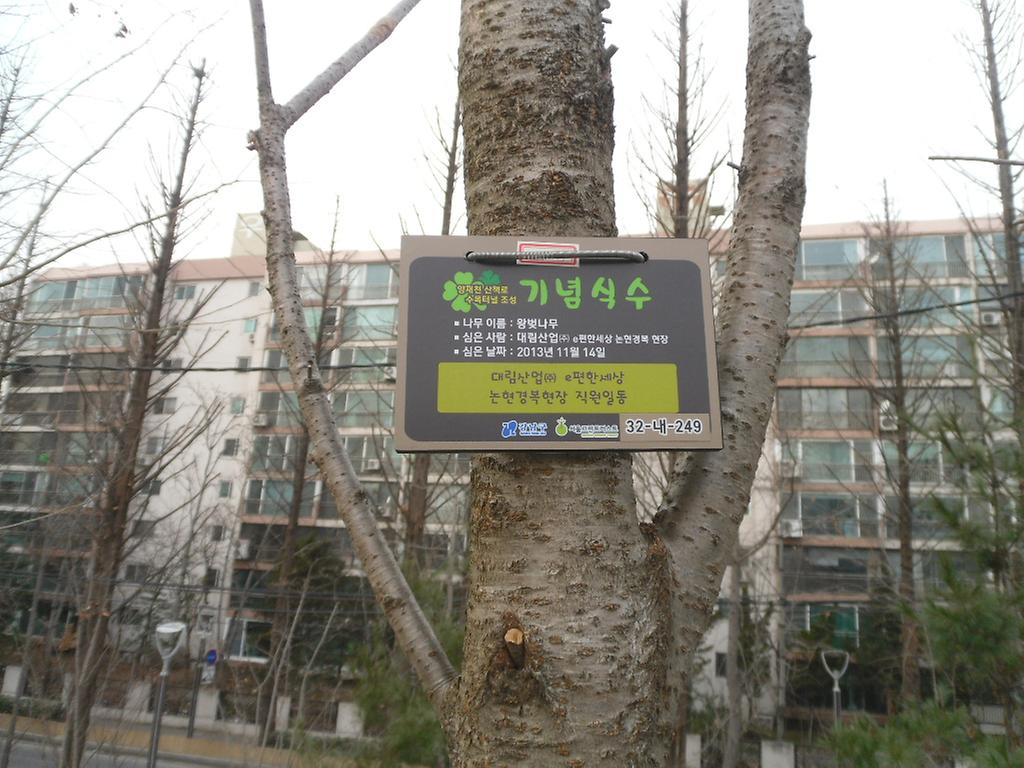 32-내-249