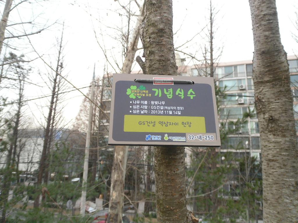 32-내-250
