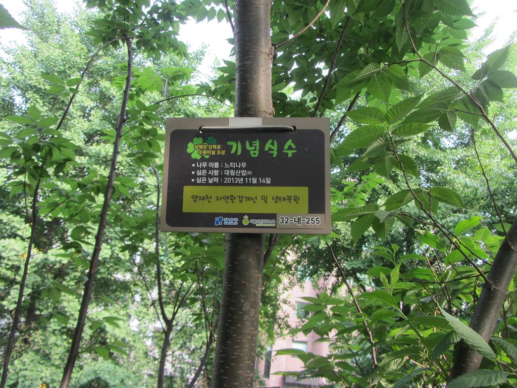 32-내-255