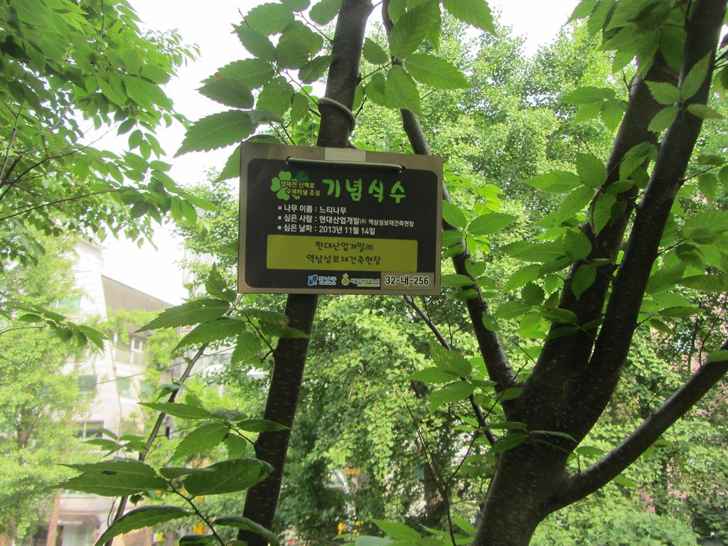 32-내-256