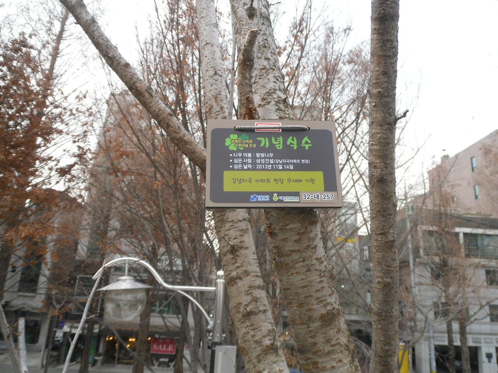 32-내-257