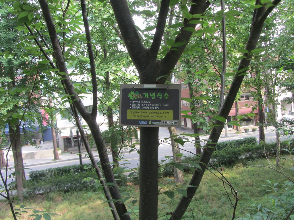 32-내-259