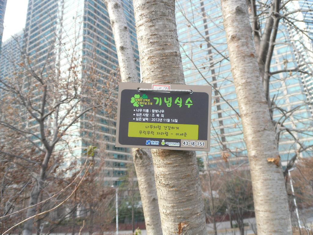 43-내-151