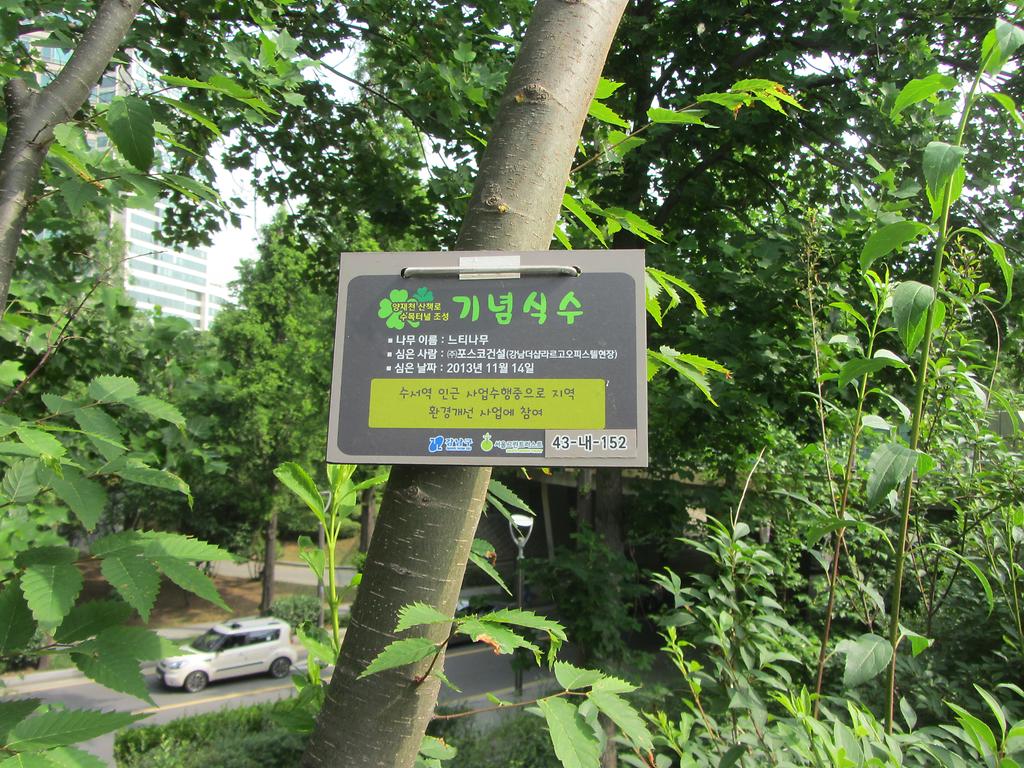  43-내-152
