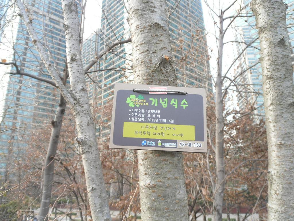  43-내-153