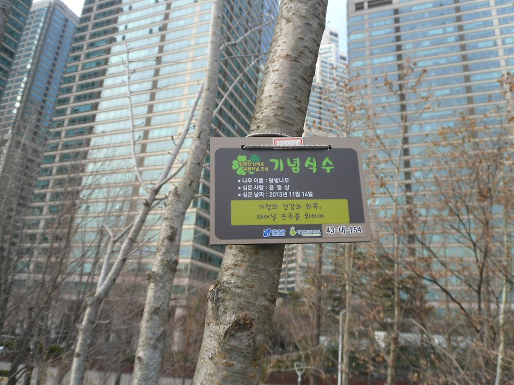 43-내-154