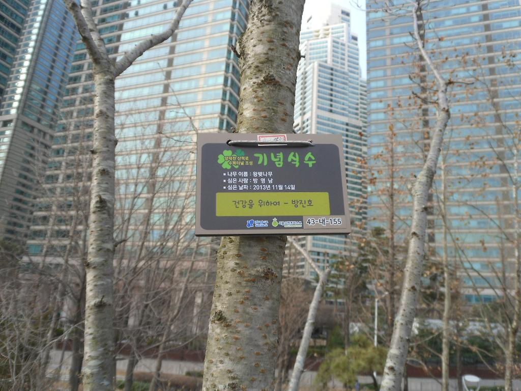 43-내-155