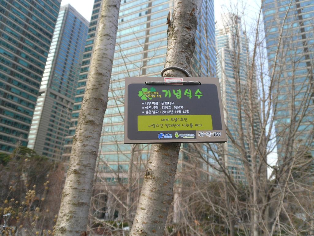 43-내-157