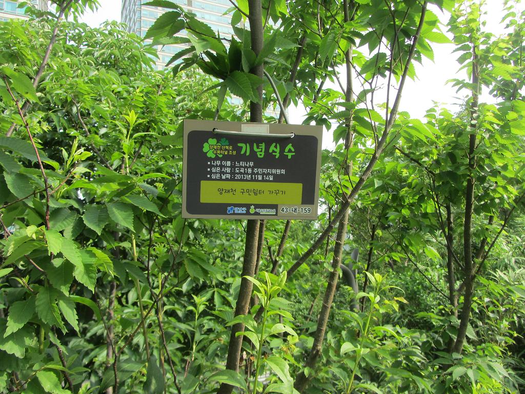 43-내-159