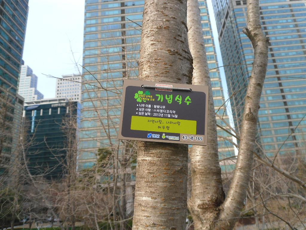 43-내-165
