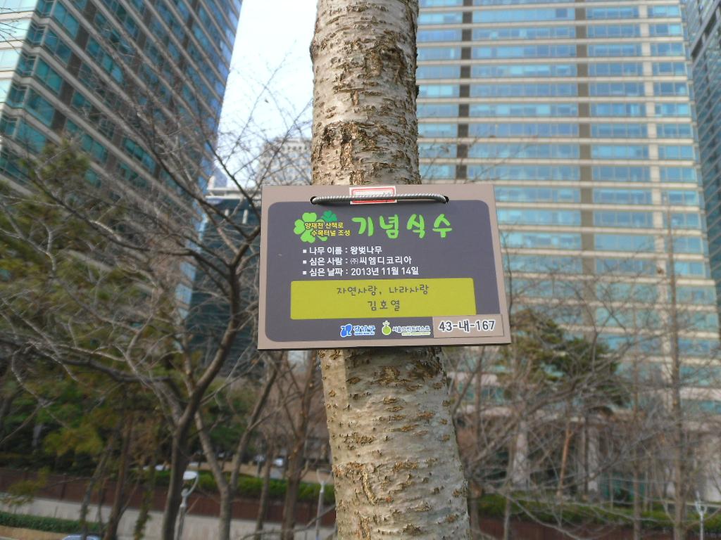 43-내-167