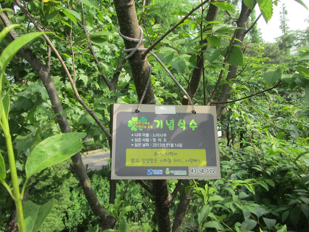 43-내-172